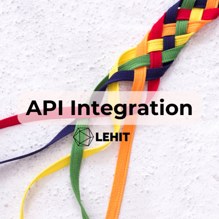 Grow Smarter, Not Harder: API Integration for Businesses