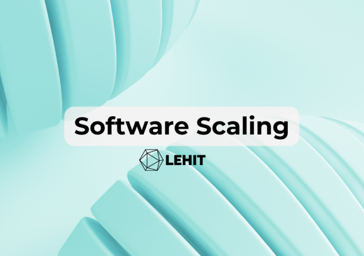 Scale Without Fail: Software Scaling for Growing Businesses